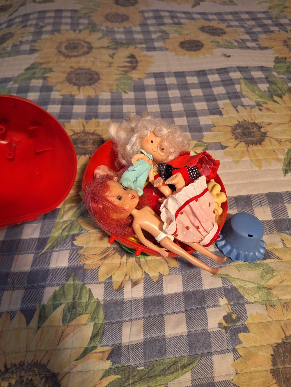 Strawberry Shortcake Dolls